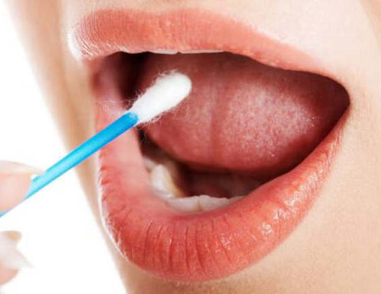 Il cavo orale e la saliva